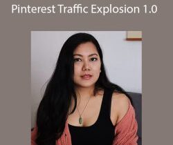 Shruti Pangtey – Pinterest Traffic Explosion 1.0