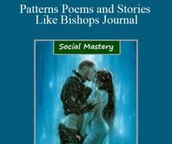 Social Mastery – Patterns Poems and Stories Like Bishops Journal