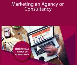 Stone River Elearning – Marketing an Agency or Consultancy