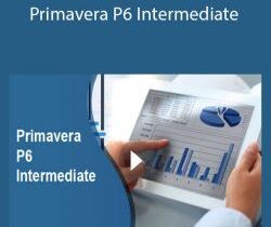 Stone River Elearning – Primavera P6 Intermediate