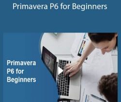 Stone River Elearning – Primavera P6 for Beginners