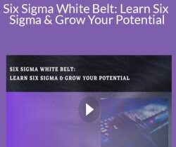 Stone River Elearning – Six Sigma White Belt: Learn Six Sigma & Grow Your Potential