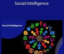 Stone River Elearning – Social Intelligence