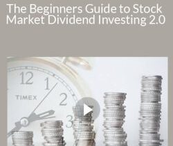 Stone River Elearning – The Beginners Guide to Stock Market Dividend Investing 2.0