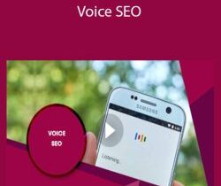 Stone River Elearning – Voice SEO