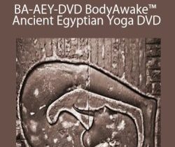 Sue Morter – BA-AEY-DVD BodyAwake™ Ancient Egyptian Yoga DVD