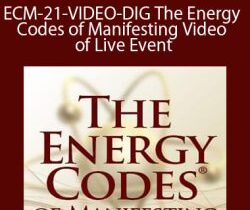 Sue Morter – ECM-21-VIDEO-DIG The Energy Codes of Manifesting – Video of Live Event