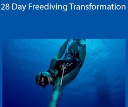 Ted Harty III – 28 Day Freediving Transformation