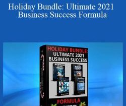 Ted McGrath – Holiday Bundle: Ultimate 2021 Business Success Formula