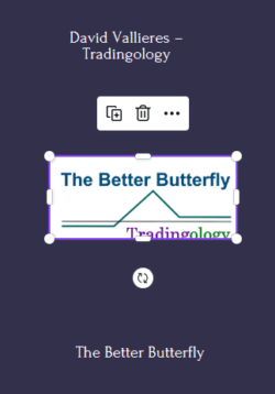 The Better Butterfly Course With David Vallieres – Tradingology