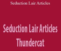 Thundercat – Seduction Lair Articles