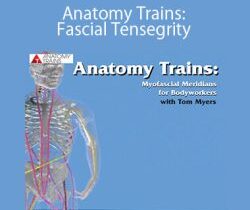 Tom Myers – Anatomy Trains: Fascial Tensegrity