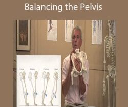 Tom Myers – Balancing the Pelvis