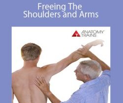 Tom Myers – Freeing The Shoulders and Arms