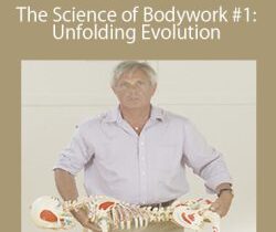 Tom Myers – The Science of Bodywork #1: Unfolding Evolution
