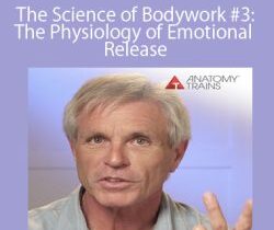 Tom Myers – The Science of Bodywork #3: The Physiology of Emotional Release