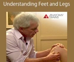 Tom Myers – Understanding Feet and Legs