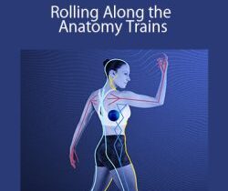 Tom Myers and Jill Miller – Rolling Along the Anatomy Trains
