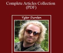 Tyler Durden – Complete Articles Collection (PDF)