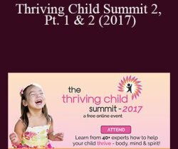 V.A – Thriving Child Summit 2, Pt. 1 & 2 (2017)