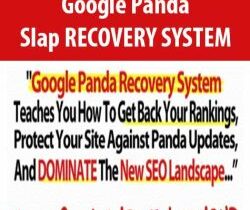 Google Panda Slap RECOVERY SYSTEM