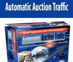 Automatic Auction Traffic