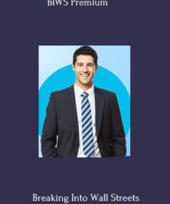 BIWS Premium (Excel & VBA + Financial Modeling Mastery + PowerPoint Pro) - Break Into Wall Street