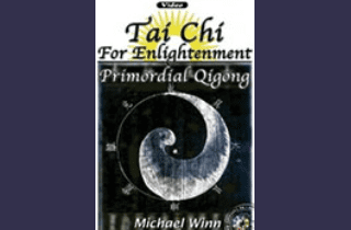 Tai Chi For Enlightenment Program By Michael Winn