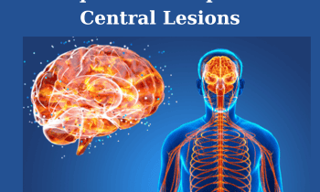 530) Efferent Essentials – Techniques for Peripheral and Central Lesions By Carrick Institute