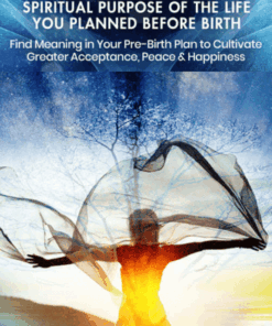 Awakening to the Spiritual Purpose of the Life You Planned Before Birth By Rob Schwartz and Liesel Fricke