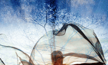 Awakening to the Spiritual Purpose of the Life You Planned Before Birth By Rob Schwartz and Liesel Fricke