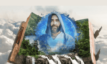 Dreamporting Mastery Certification By Daniel Raphael