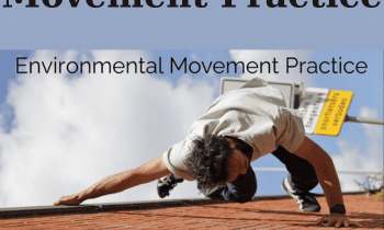 Environmental Movement Practice By Marcello Palozzo