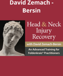 Head and Neck Injury Recovery By David Zemach - Bersin