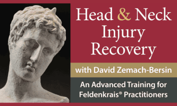 Head and Neck Injury Recovery By David Zemach - Bersin