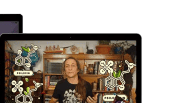 Psychedelic Journeywork Course By Julian Vayne