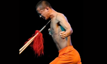 The Iron Shirt Qi Gong Online Course By Lee Holden