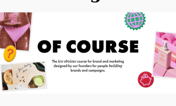 Brand and Marketing Course By Willow and Blake