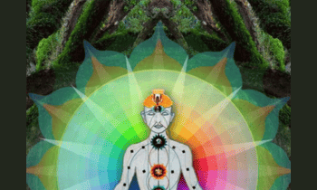 Vibrational Testing and Healing – Full Series By Robert Gilbert