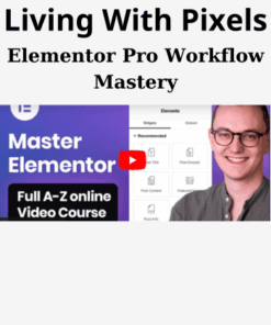 Elementor Pro Workflow Mastery By Living With Pixels