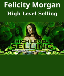 High Level Selling By Felicity Morgan