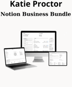 Notion Business Bundle By Katie Proctor