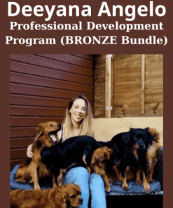 Professional Development Program (BRONZE Bundle) By Deeyana Angelo