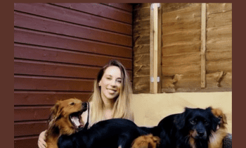 Professional Development Program (BRONZE Bundle) By Deeyana Angelo