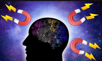 The Mind Conditioning Mastery Program 2025 By Peggy McColl