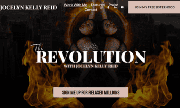 The Revolution By Jocelyn Kelly Reid